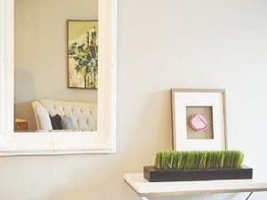Services Ballarat Glaziers 2 Mirrors Ballarat